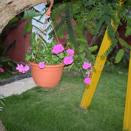Casa Vg Icod De Los Vinos